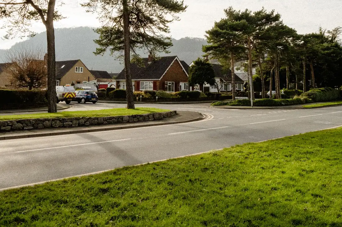 Quiet suburban street lined with houses and trees